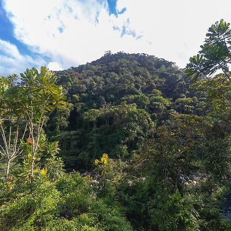 La Perla Negra - Black Pearl Eco Hostel ซานราฟาเอล ภายนอก รูปภาพ