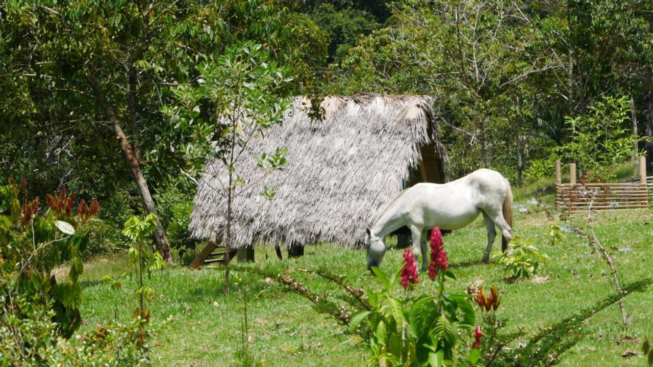 La Perla Negra - Black Pearl Eco Hostel ซานราฟาเอล ภายนอก รูปภาพ