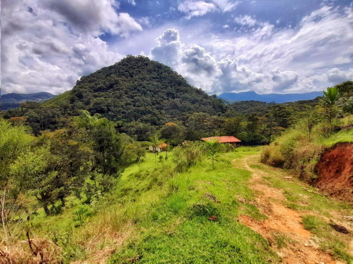 La Perla Negra - Black Pearl Eco Hostel ซานราฟาเอล ภายนอก รูปภาพ