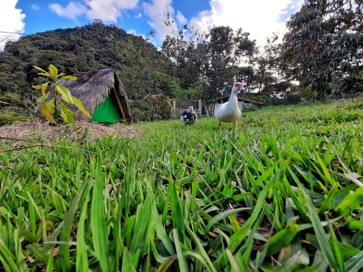 La Perla Negra - Black Pearl Eco Hostel ซานราฟาเอล ภายนอก รูปภาพ