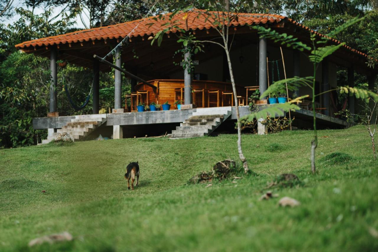 La Perla Negra - Black Pearl Eco Hostel ซานราฟาเอล ภายนอก รูปภาพ