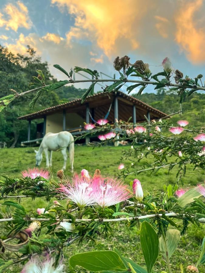 La Perla Negra - Black Pearl Eco Hostel ซานราฟาเอล ภายนอก รูปภาพ