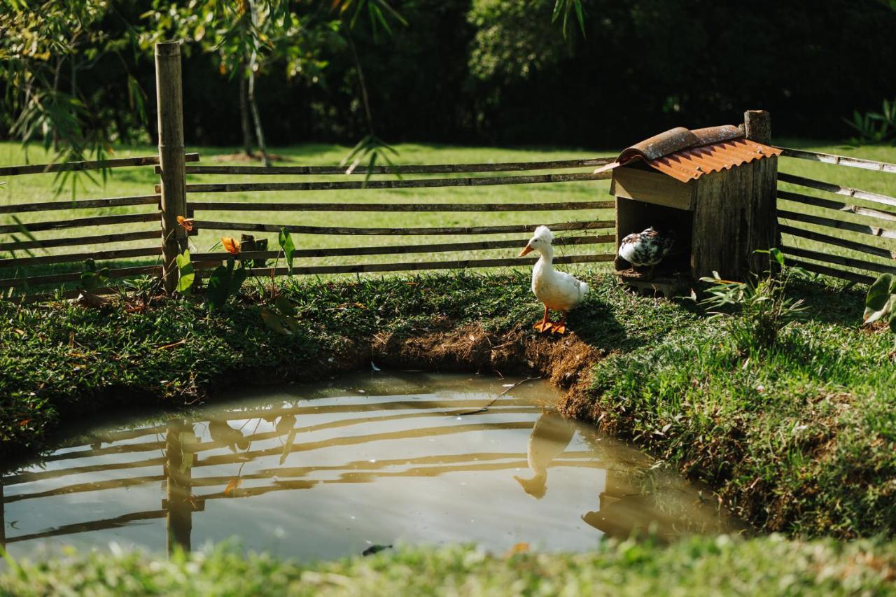 La Perla Negra - Black Pearl Eco Hostel ซานราฟาเอล ภายนอก รูปภาพ