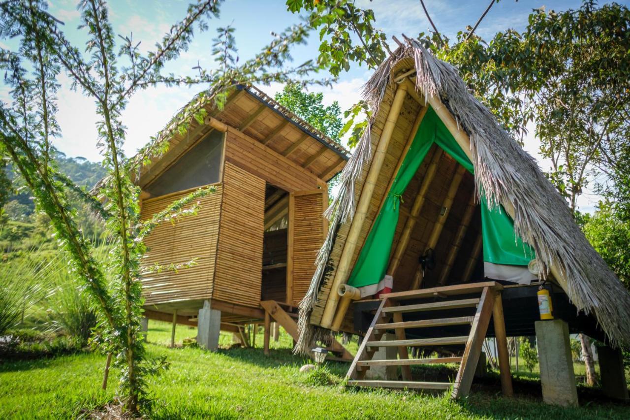 La Perla Negra - Black Pearl Eco Hostel ซานราฟาเอล ภายนอก รูปภาพ