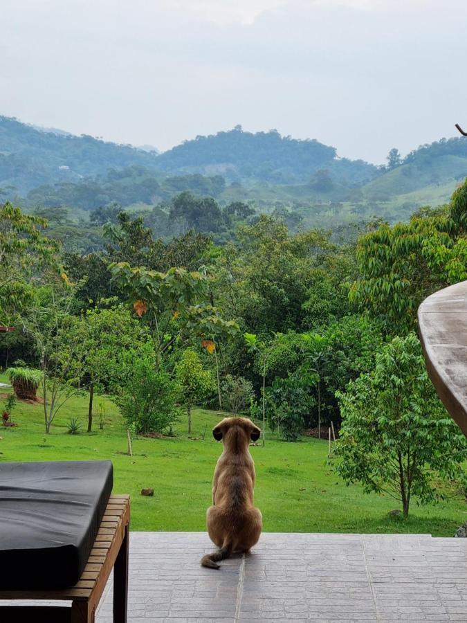 La Perla Negra - Black Pearl Eco Hostel ซานราฟาเอล ภายนอก รูปภาพ
