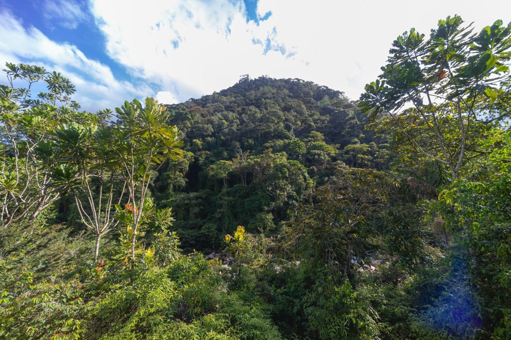 La Perla Negra - Black Pearl Eco Hostel ซานราฟาเอล ภายนอก รูปภาพ