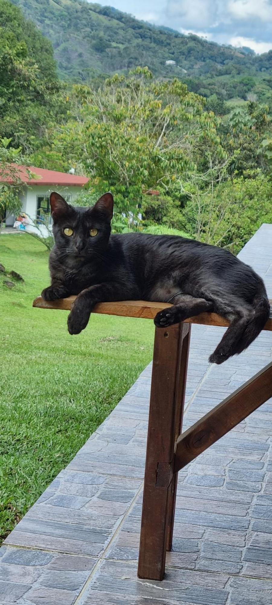 La Perla Negra - Black Pearl Eco Hostel ซานราฟาเอล ภายนอก รูปภาพ